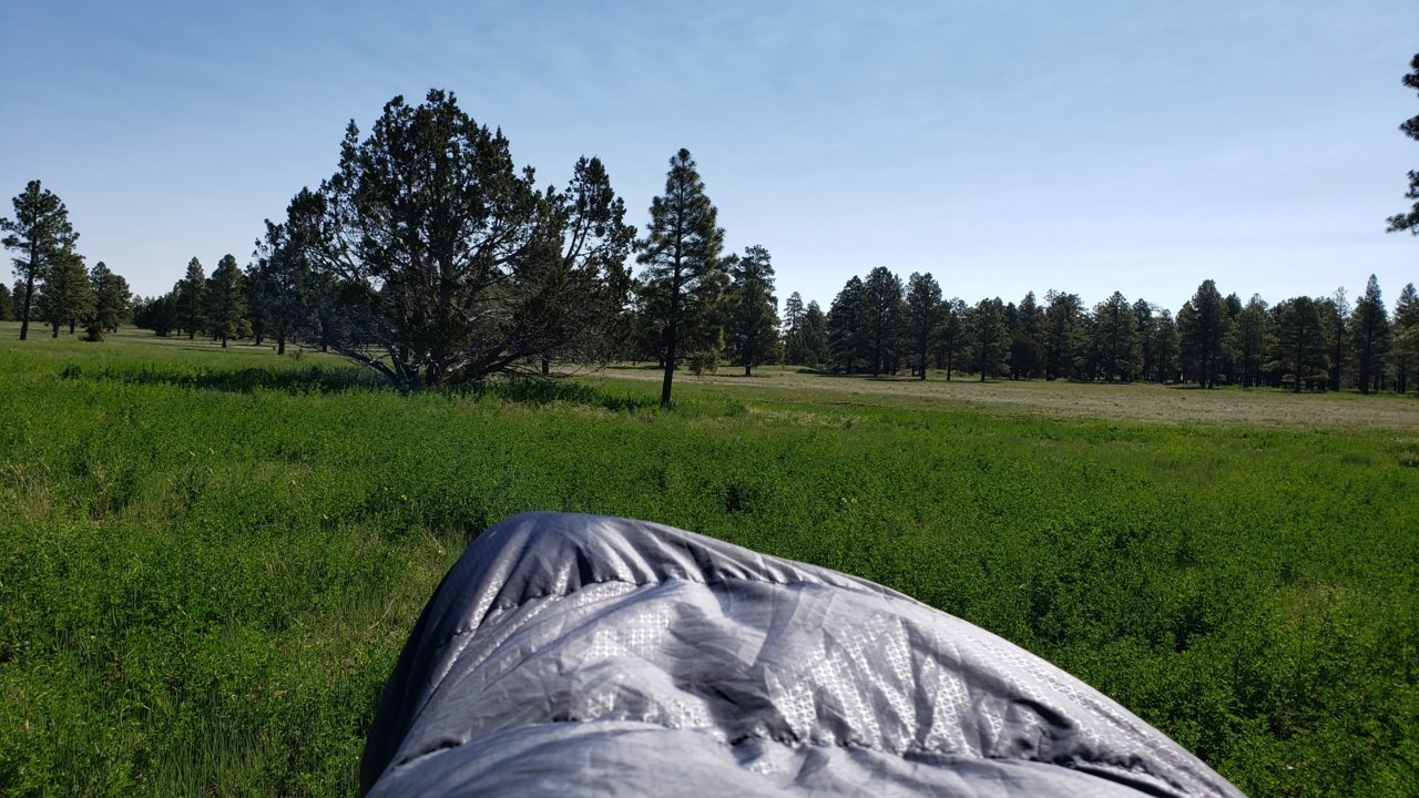 20190609_084036.jpg