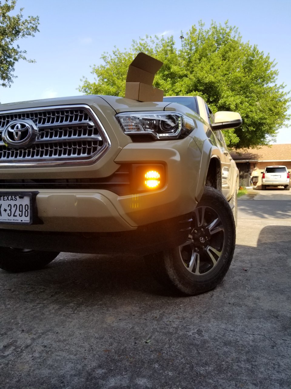20190609_091953.jpg
