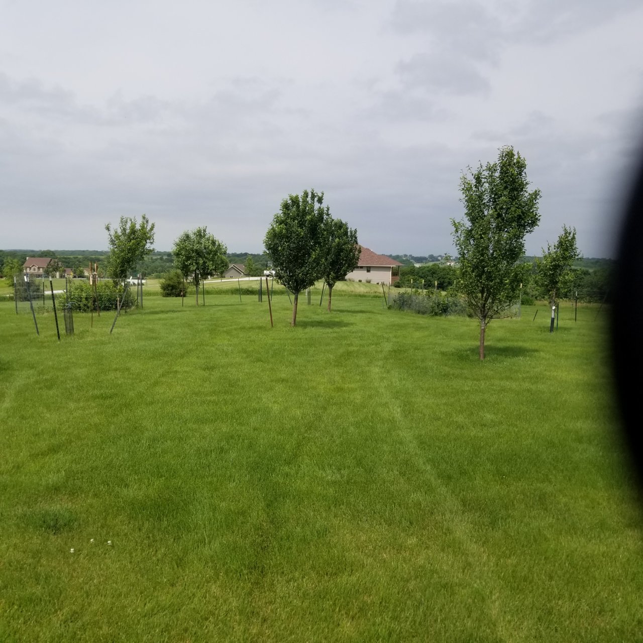 20190609_103542.jpg