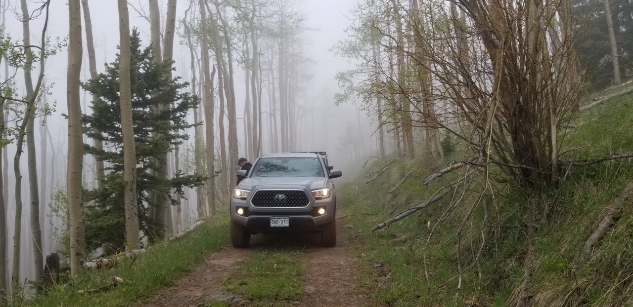 20190609_110906.jpg