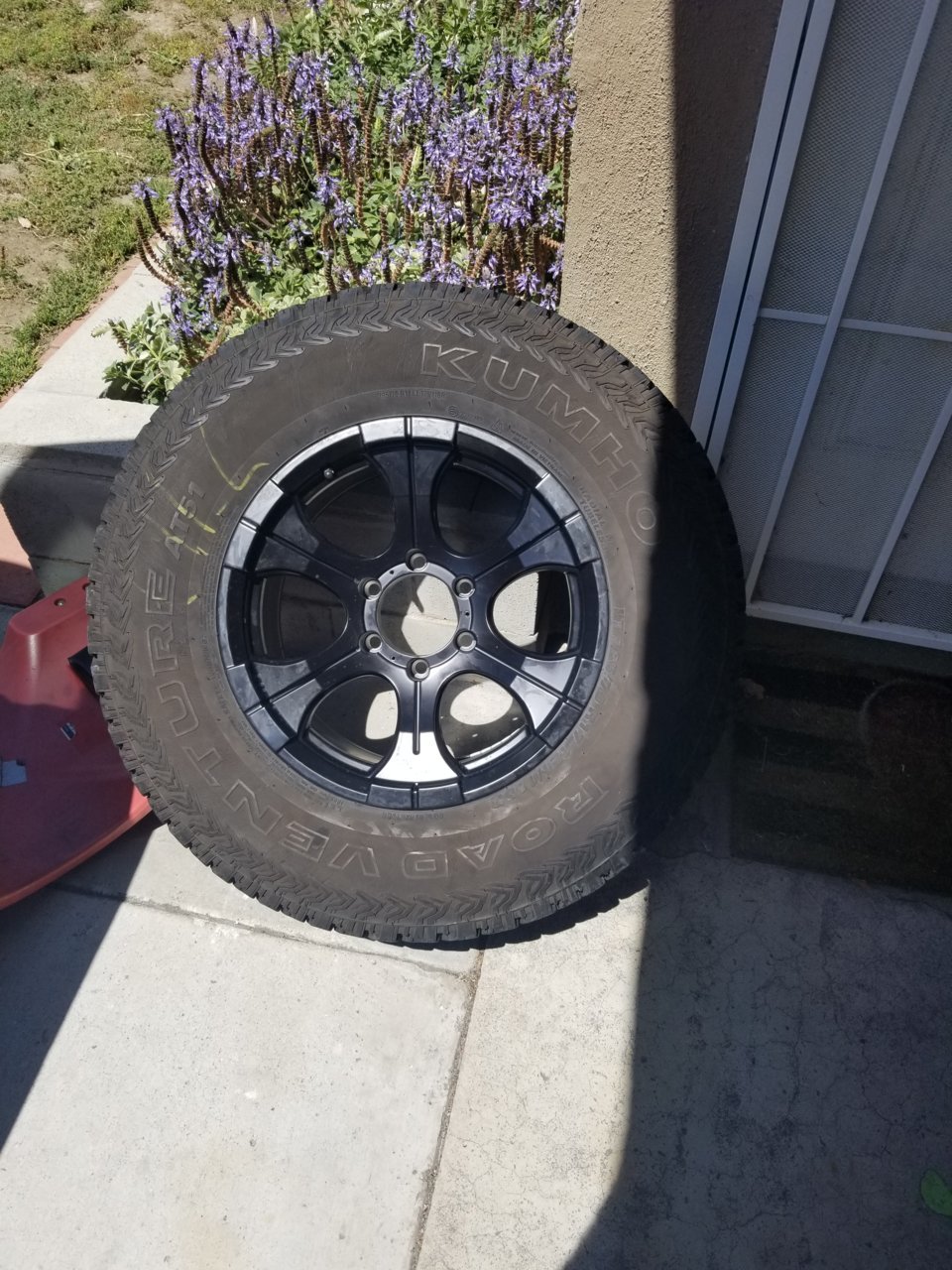 20190609_110943.jpg