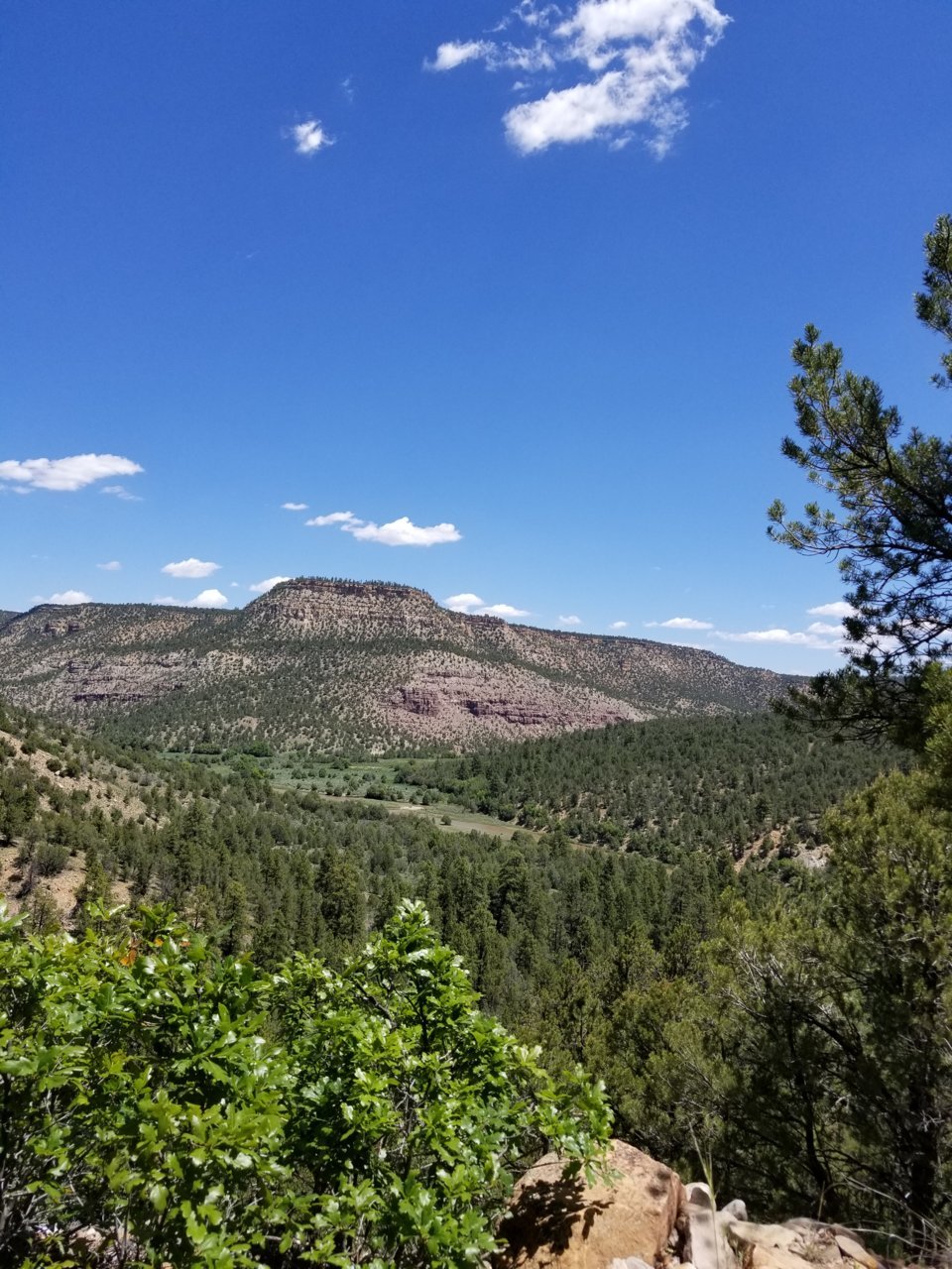 20190609_115214.jpg