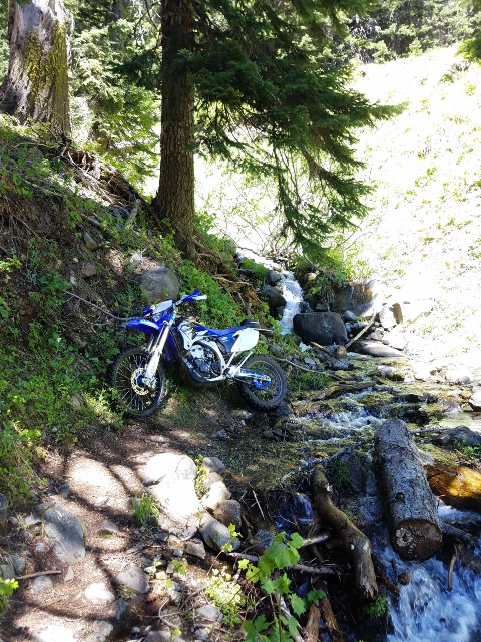 20190609_121849.jpg