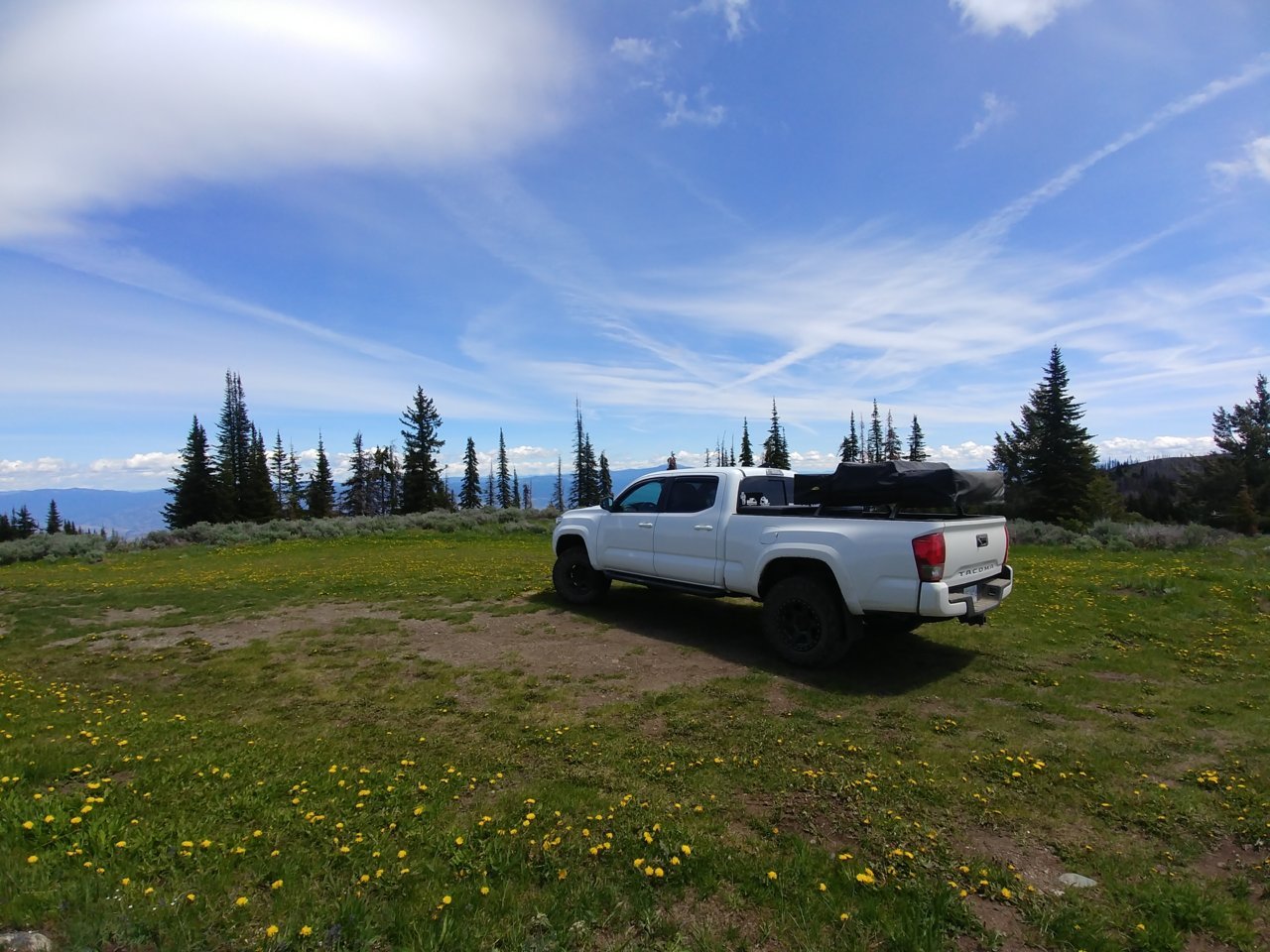 20190609_123759.jpg