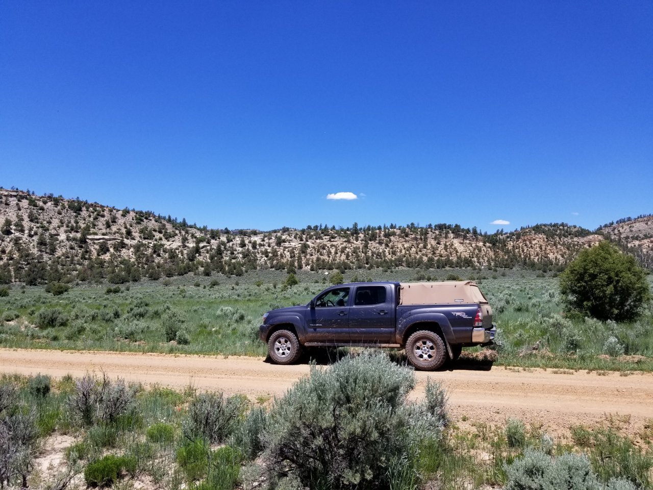 20190609_125336.jpg