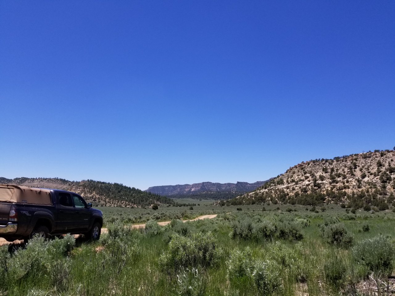 20190609_125504.jpg