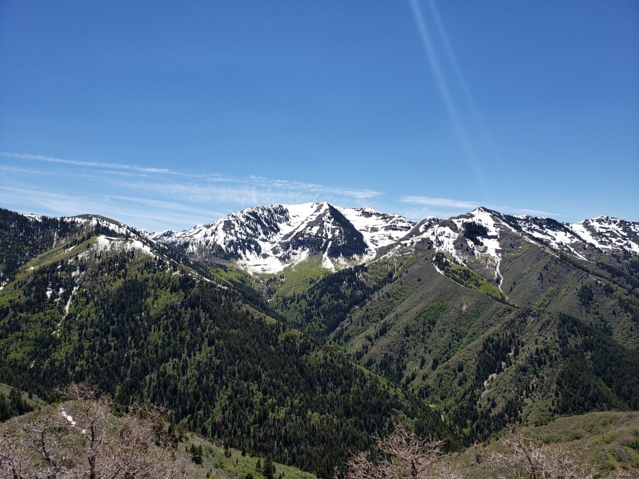20190609_141355.jpg