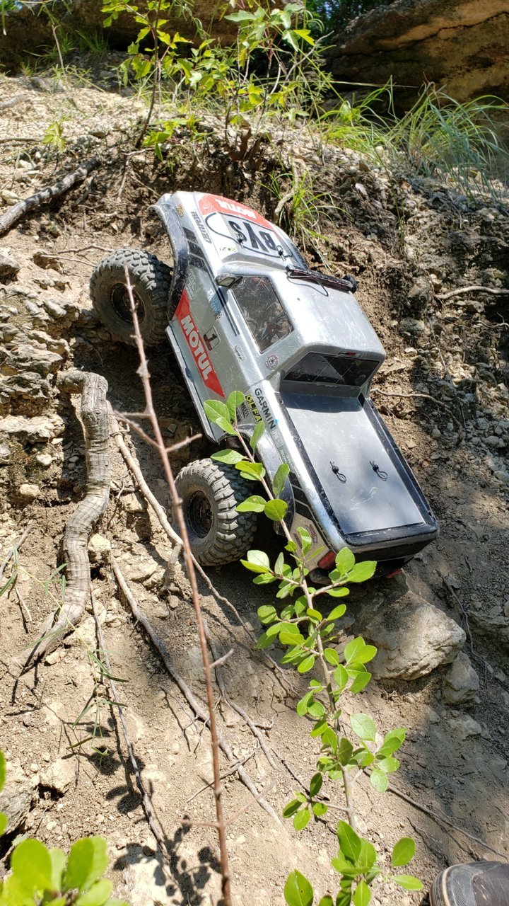 20190609_150059.jpg