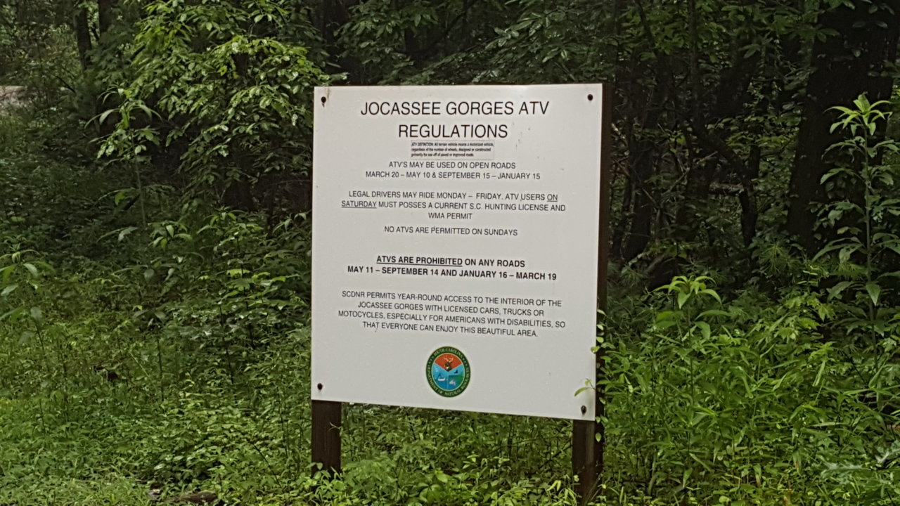 20190609_181522.jpg