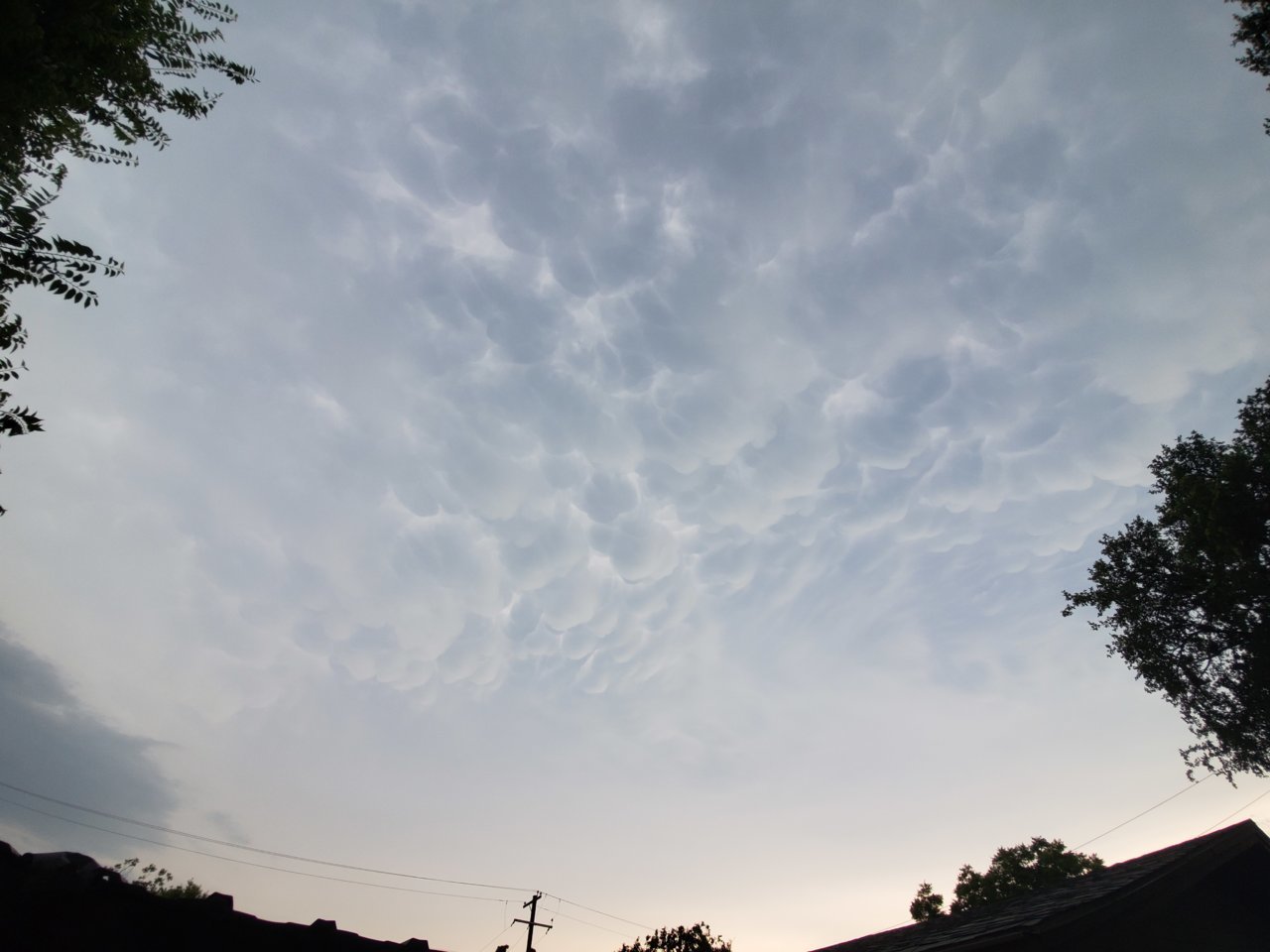 20190609_185901.jpg