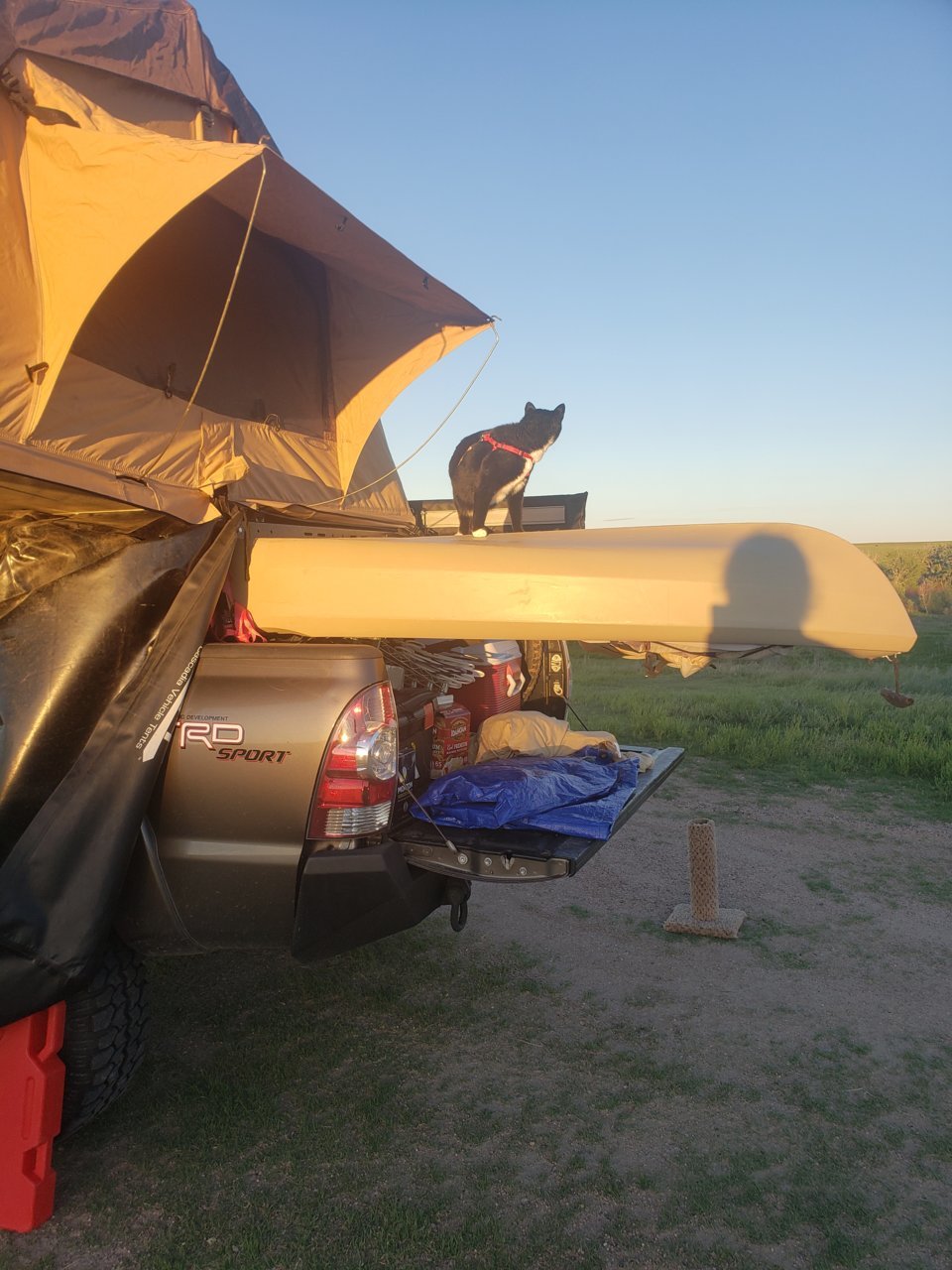 20190609_195541.jpg
