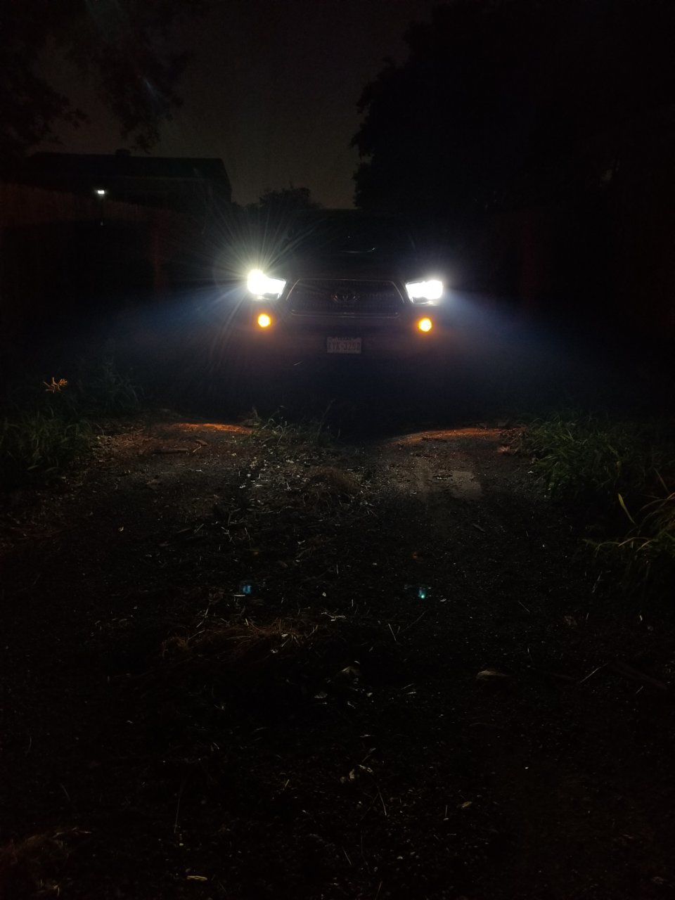 20190609_210440.jpg