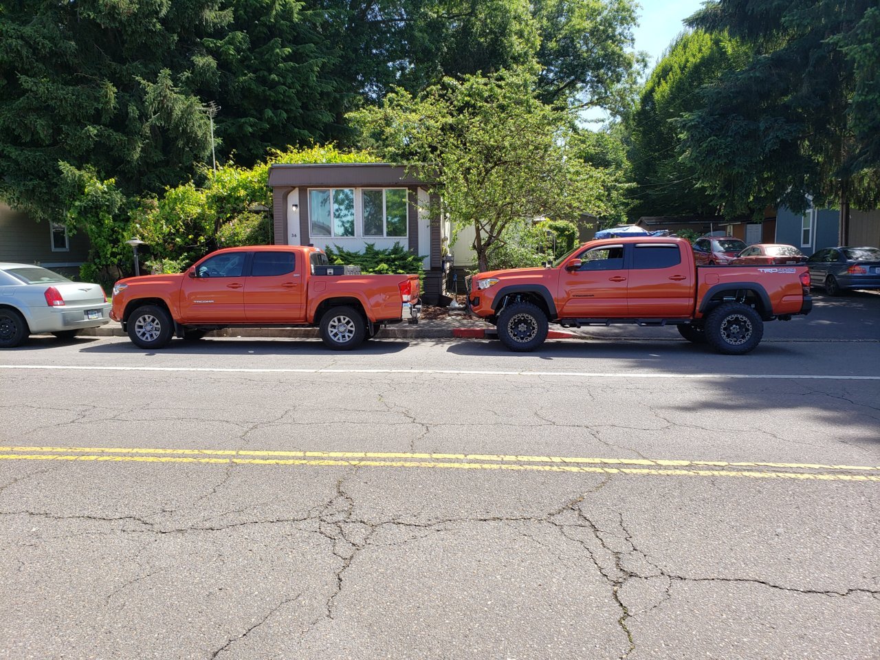 20190610_111528.jpg