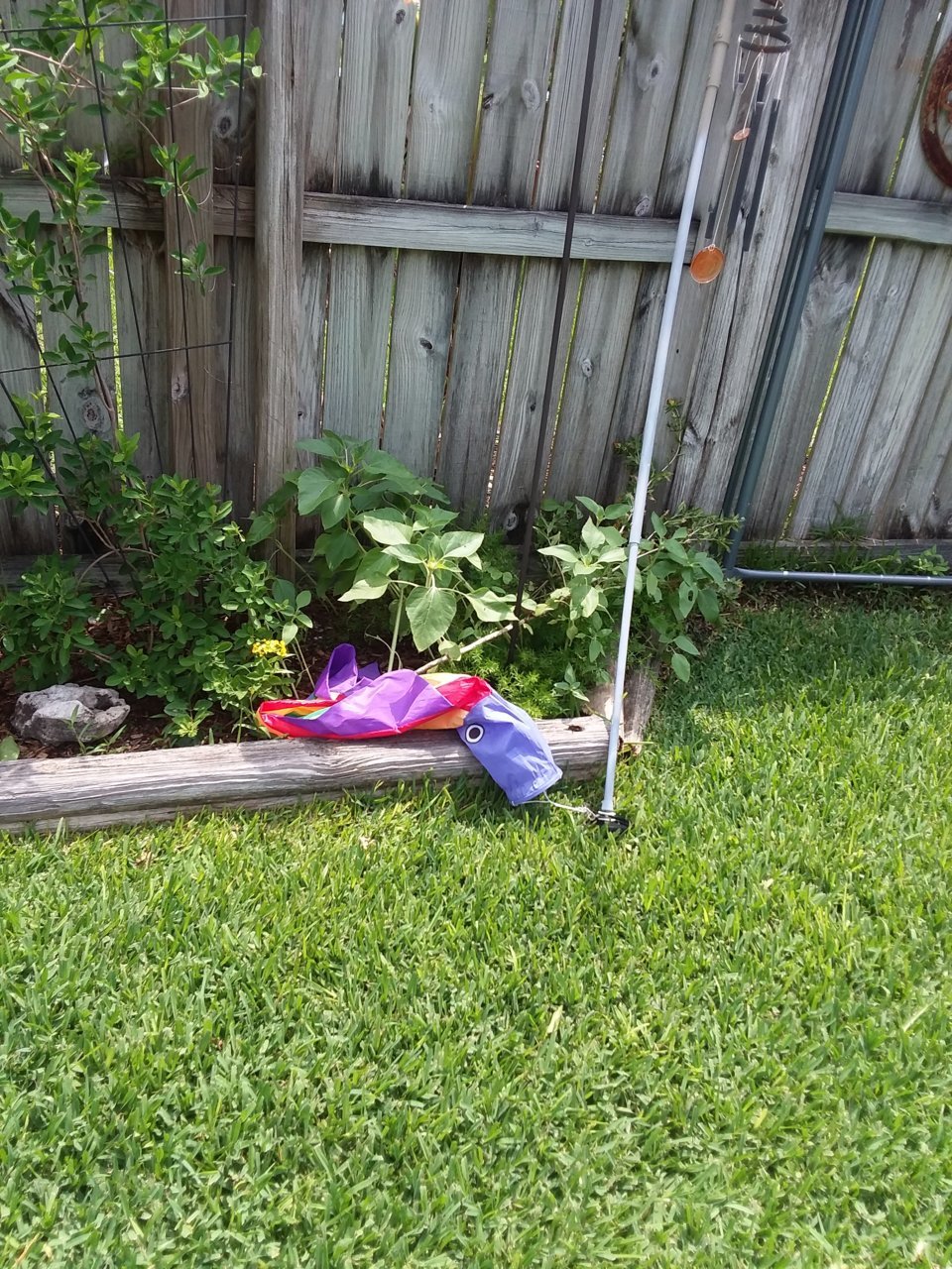 20190610_115457.jpg