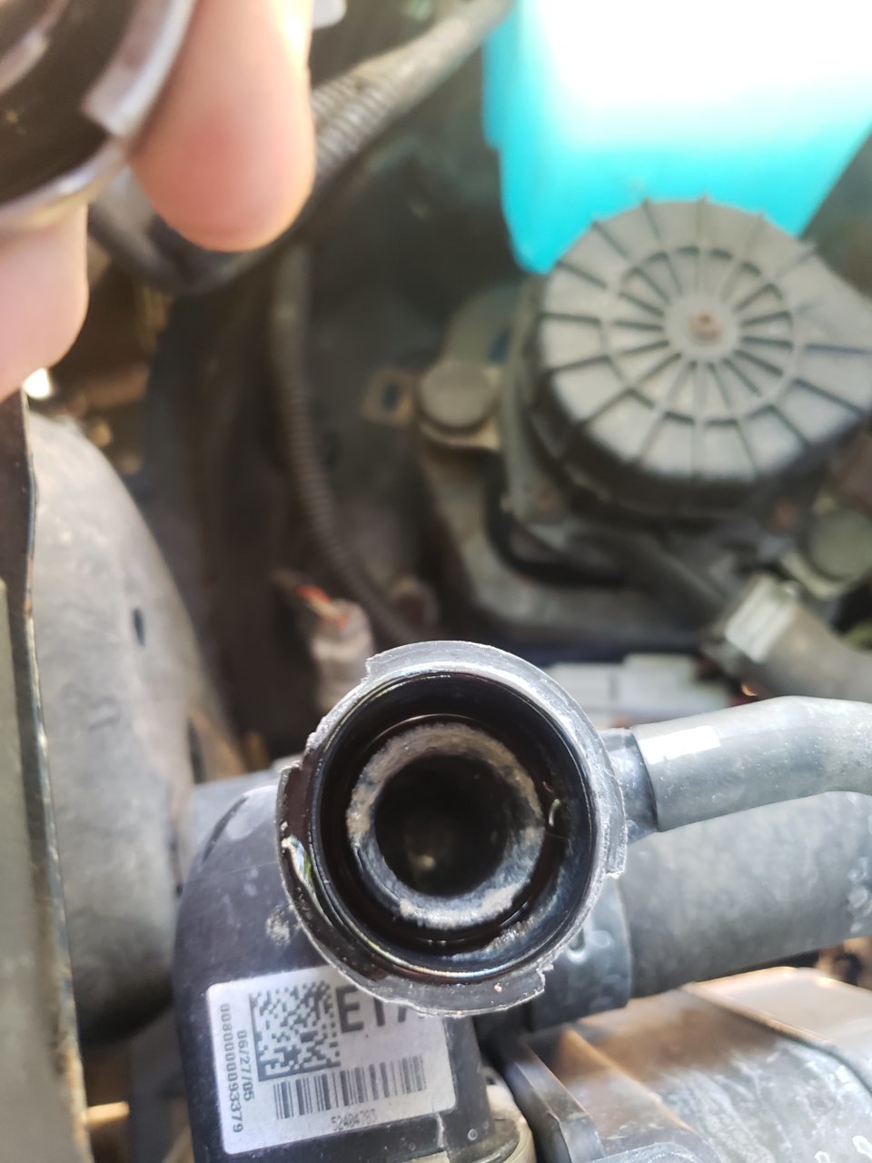 20190610_191829.jpg