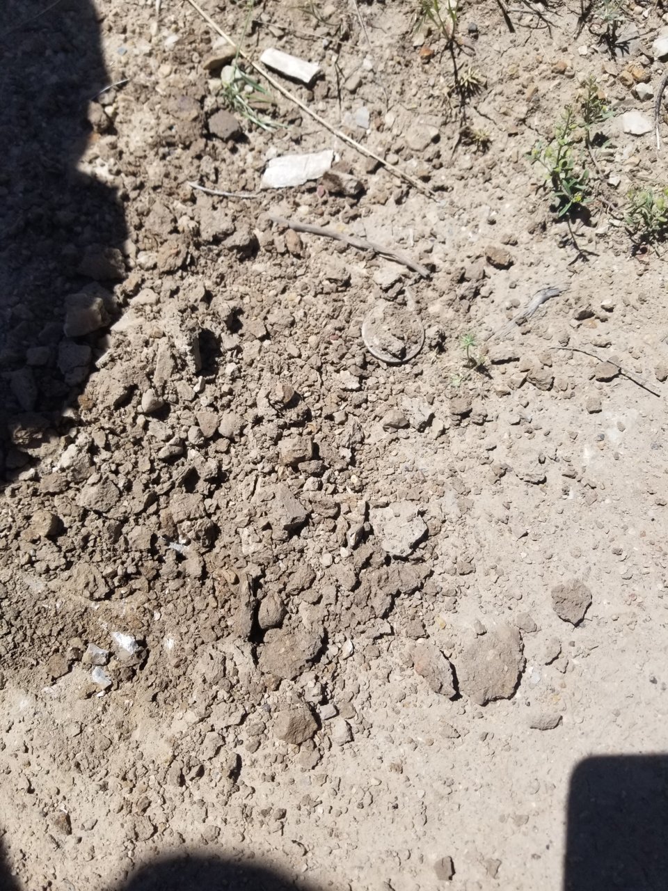 20190611_120130.jpg