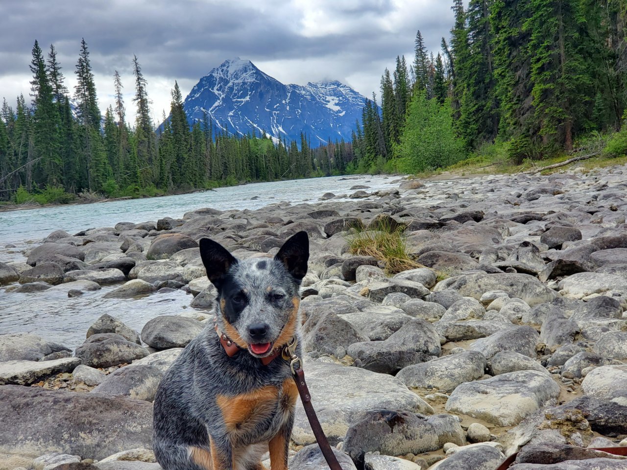 20190611_125216.jpg