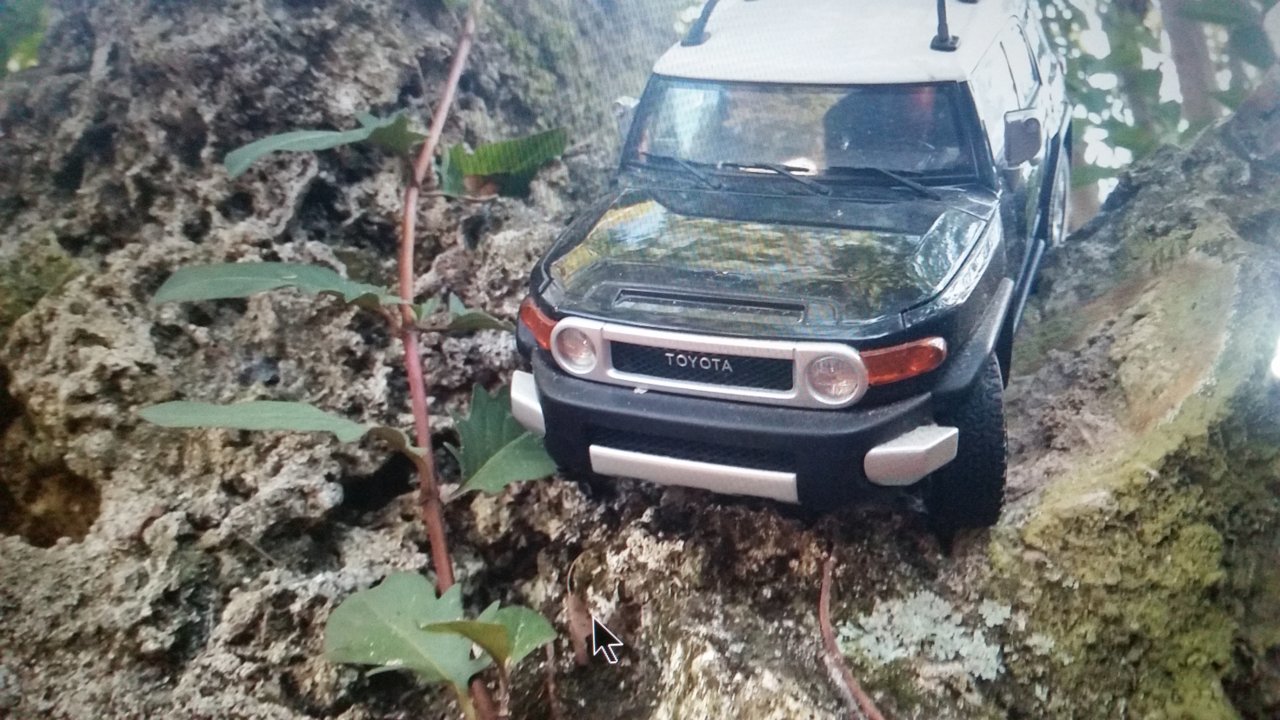20190611_134703.jpg