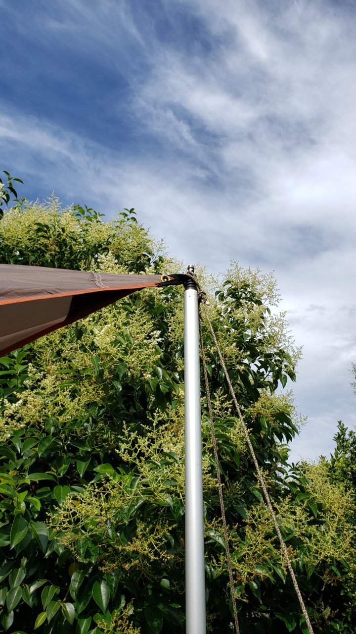 20190611_171356.jpg