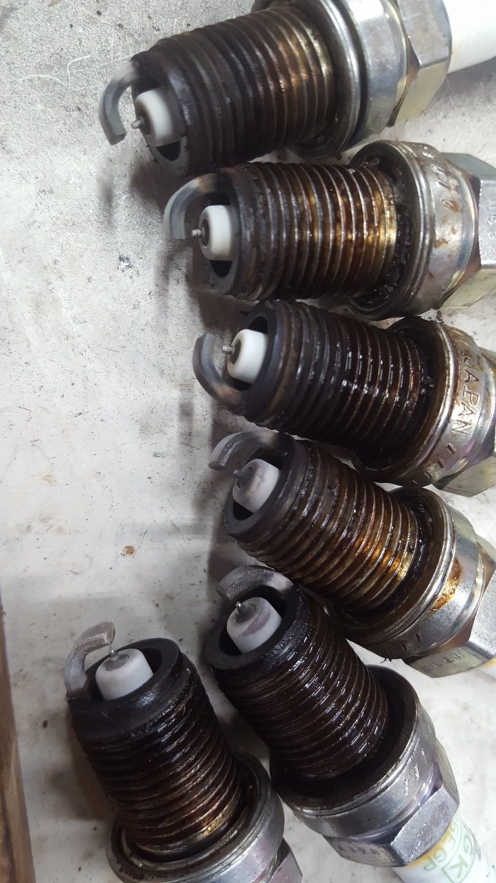 20190611_182413.jpg