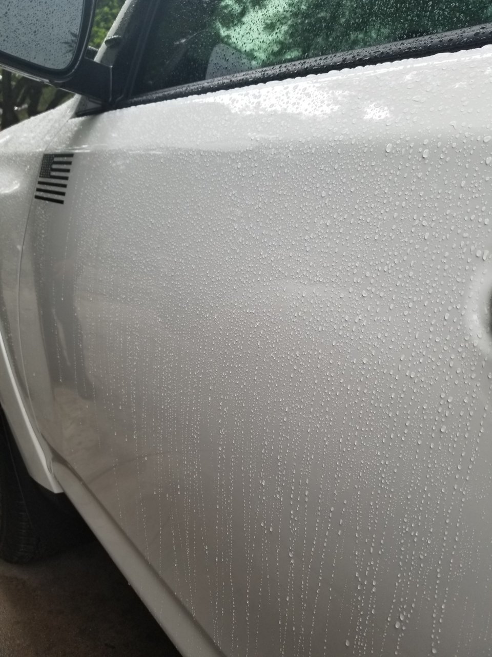 20190611_192027.jpg