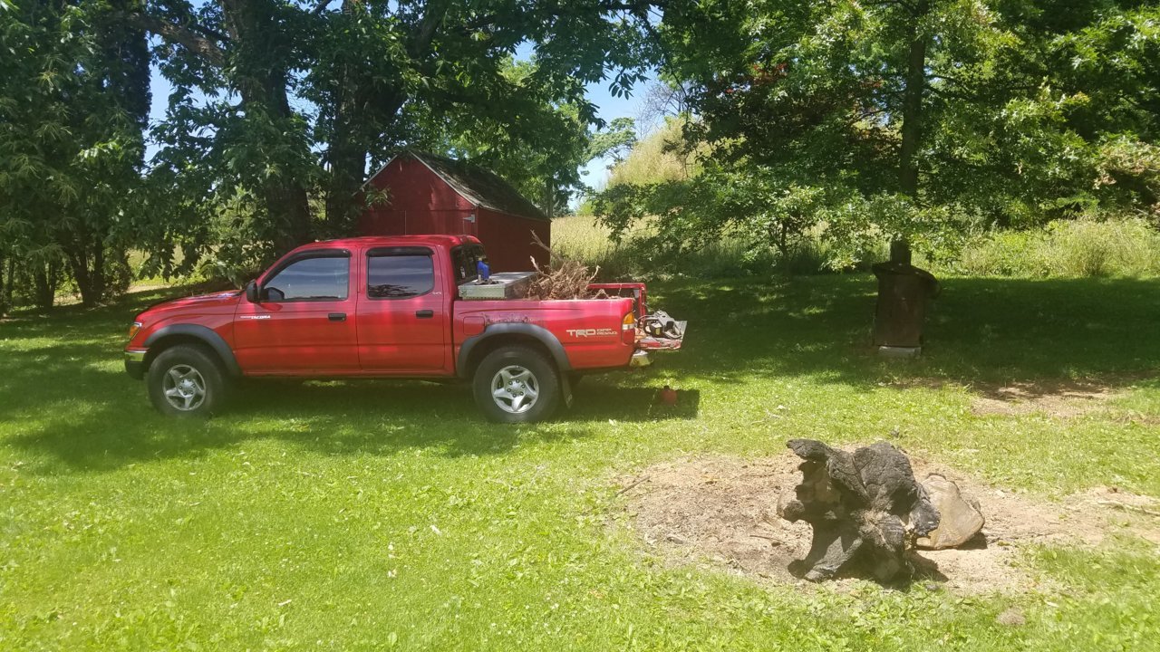 20190612_120729.jpg