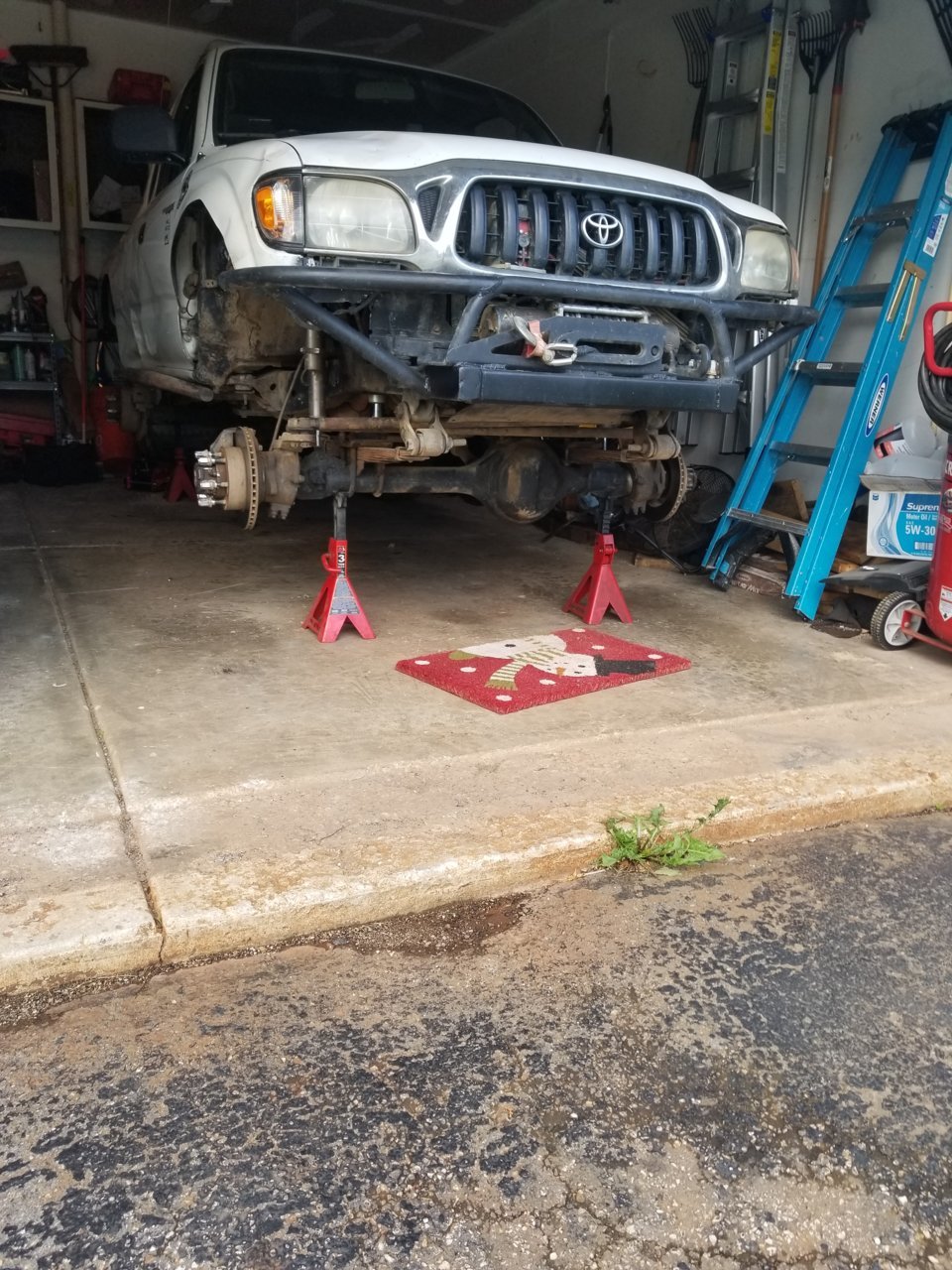 20190613_072829.jpg
