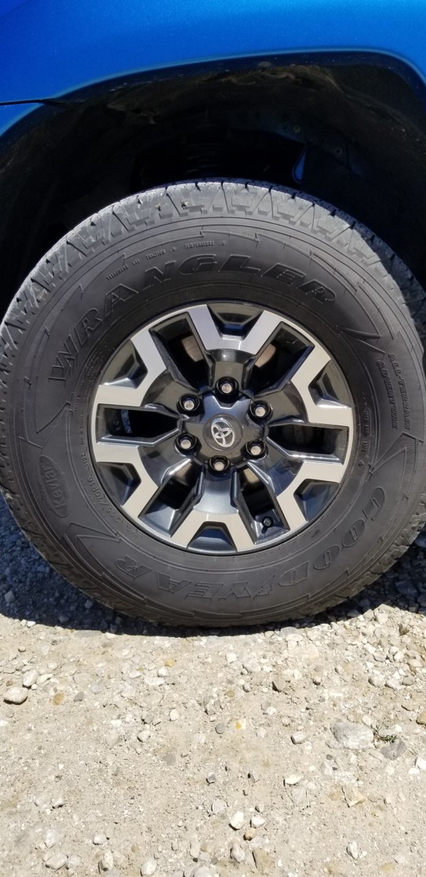 20190613_113850.jpg