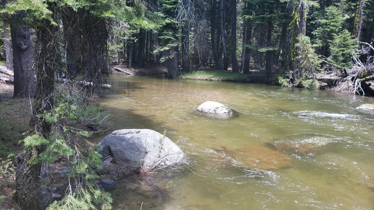 20190613_134618.jpg