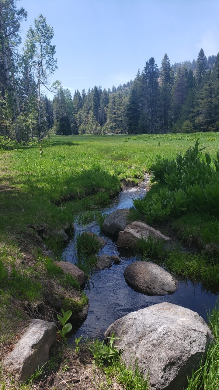 20190613_135120.jpg