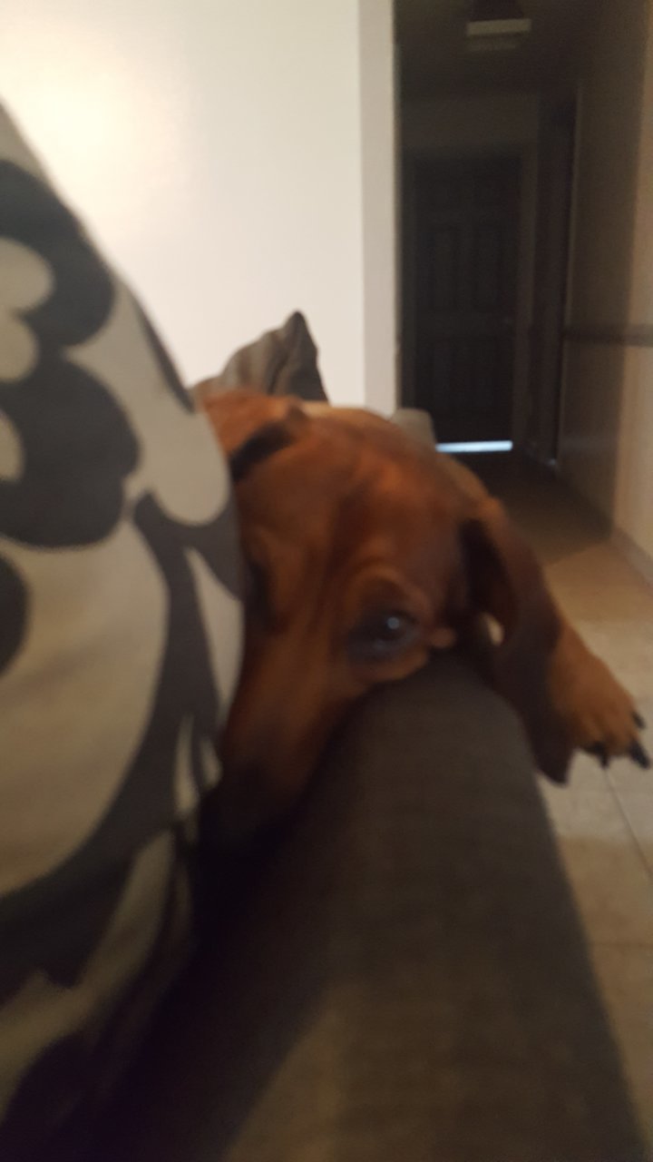 20190613_171312.jpg