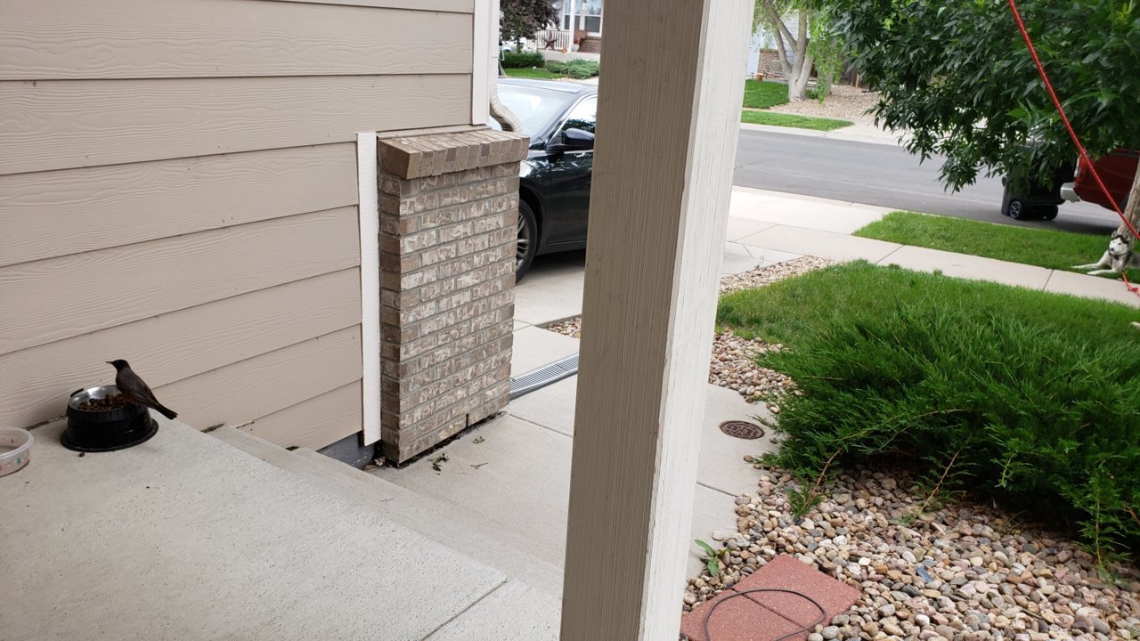 20190613_190519.jpg