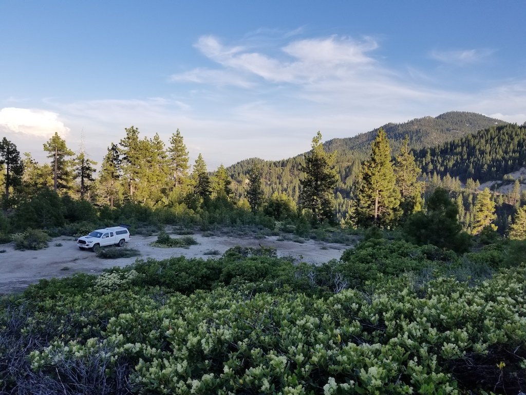 20190613_190537.jpg