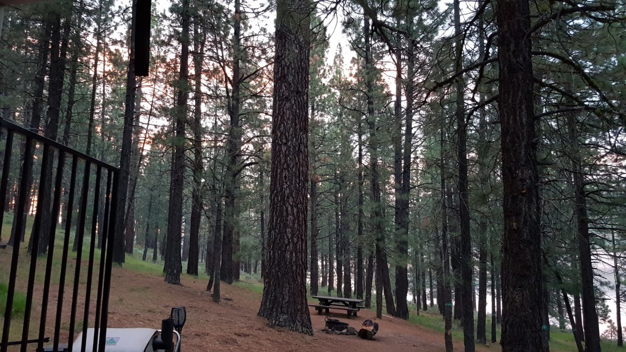 20190613_203655.jpg