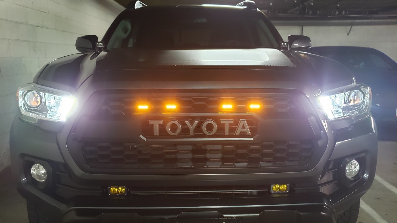 20190614_104221.jpg