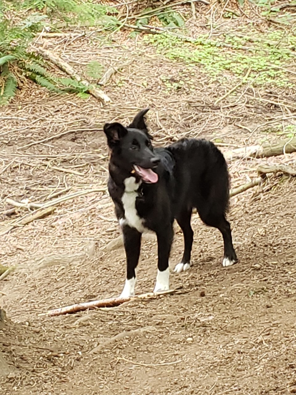 20190614_143901.jpg