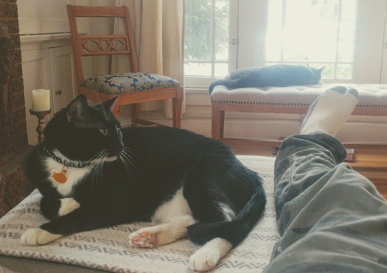 20190614_190433~2.jpg