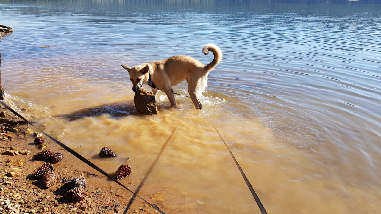 20190615_082629.jpg