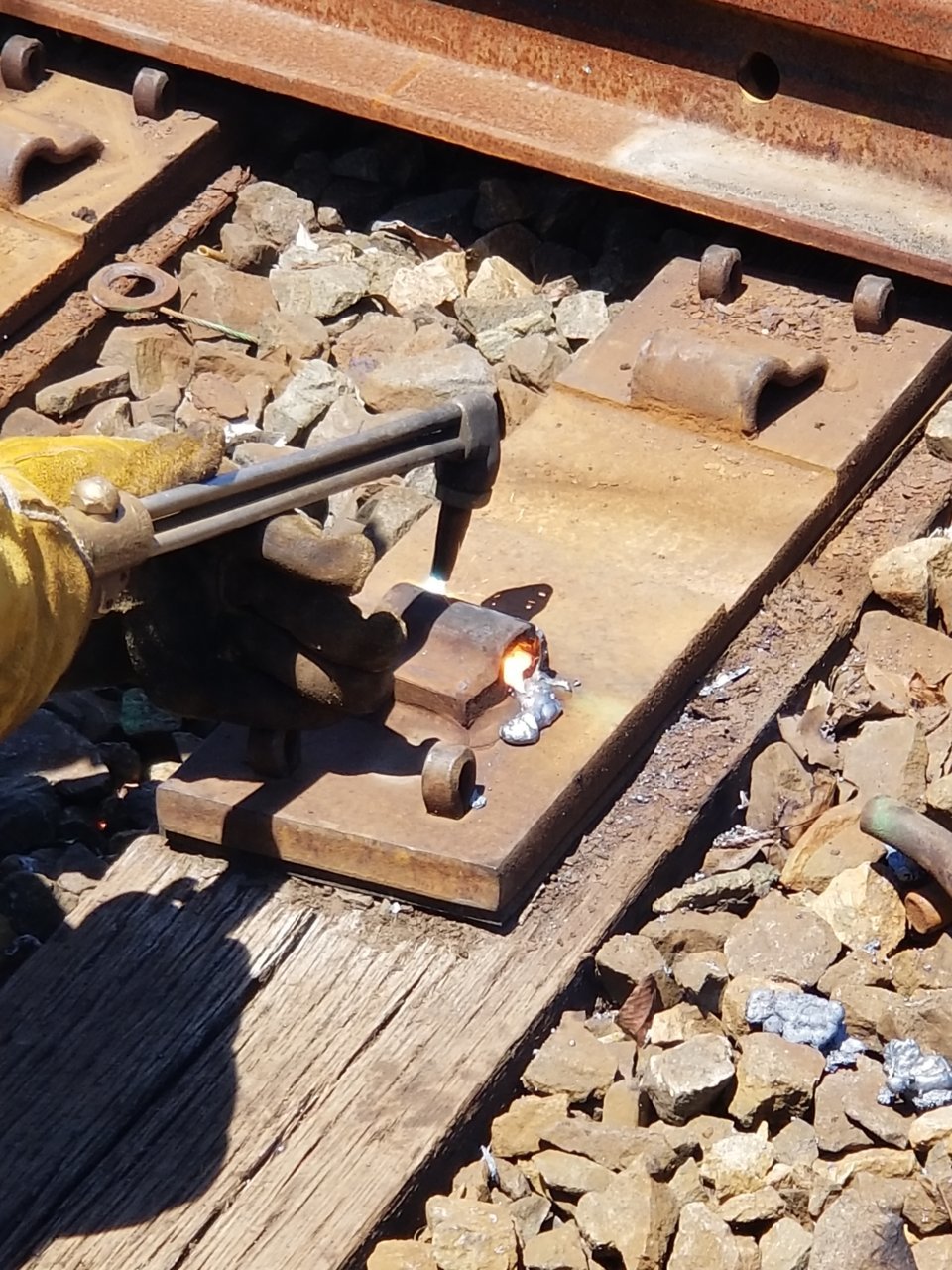 20190615_130507.jpg