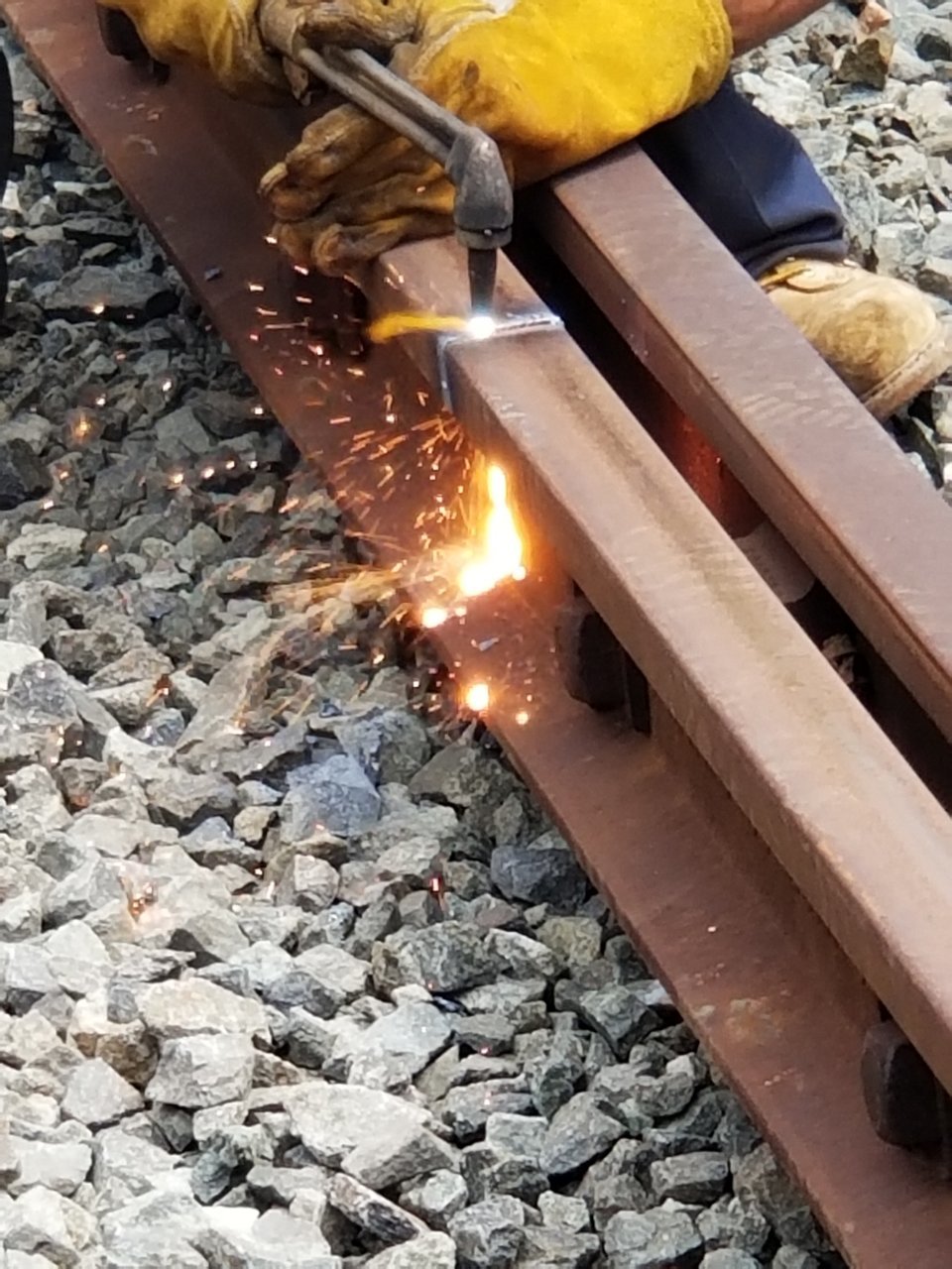 20190615_140904.jpg
