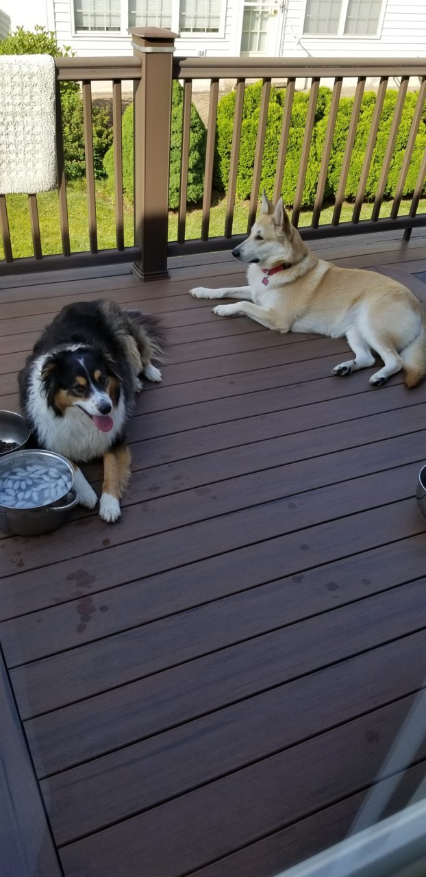 20190615_174219.jpg