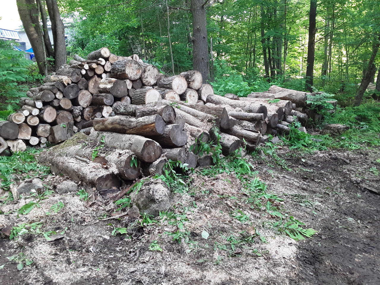 20190615_185312.jpg