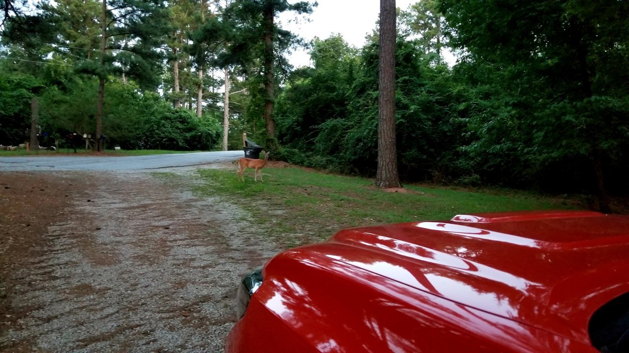 20190615_205524.jpg
