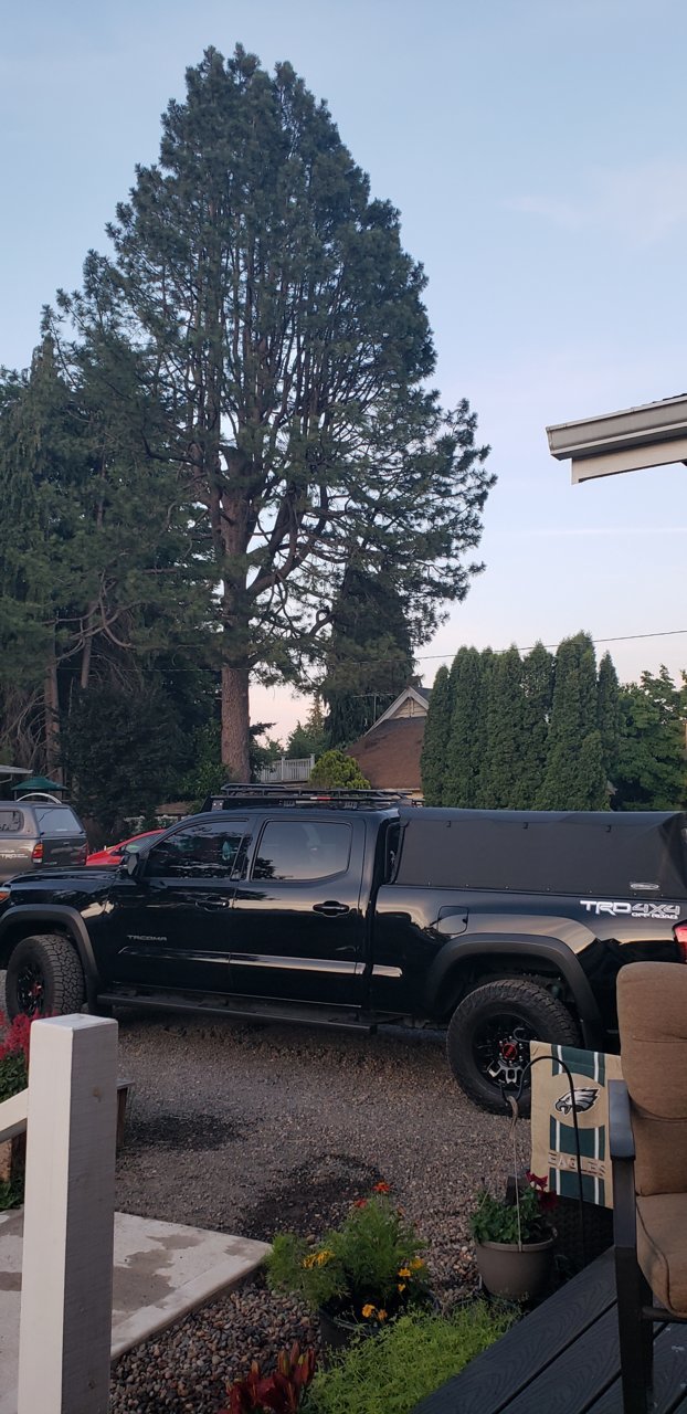 20190615_205934.jpg