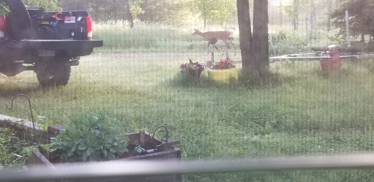 20190616_063016.jpg