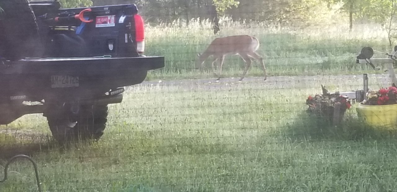 20190616_063020.jpg