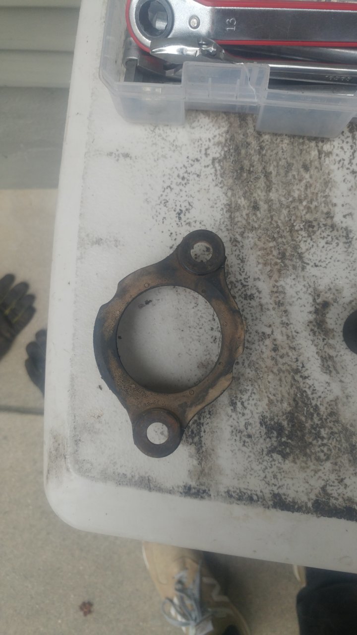 20190616_104038.jpg