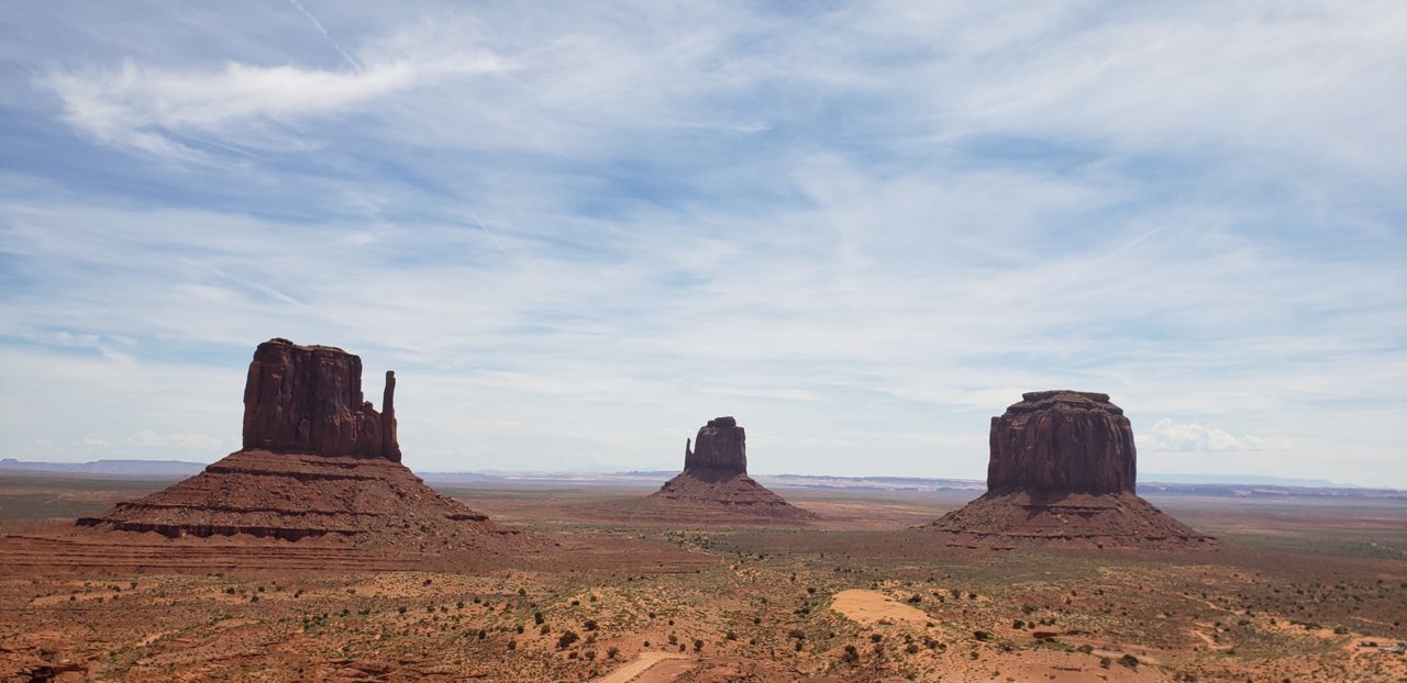 20190616_114724.jpg
