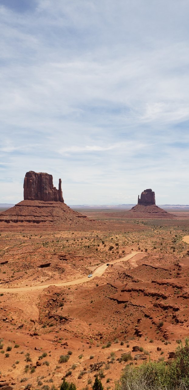 20190616_121201.jpg