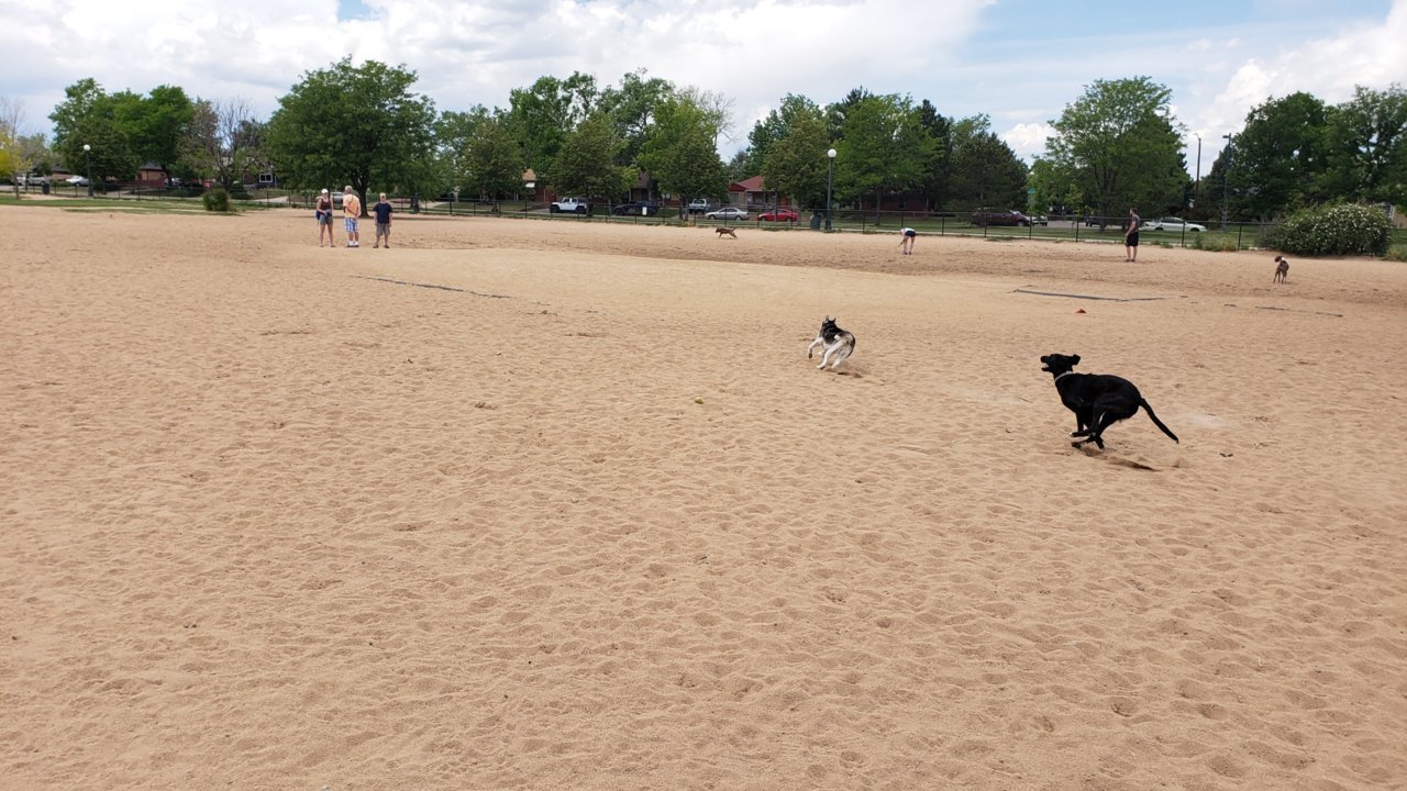 20190616_123851.jpg